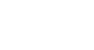 C.E.M.